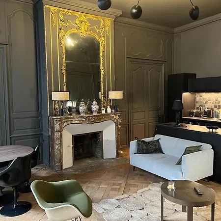 Luxueux 2 Pieces 65m2 Particulier Xvii Ieme Siecle-centre Historique Lejlighed *