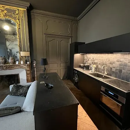 Apartment Luxueux 2 Pieces 65m2 Particulier Xvii Ieme Siecle-centre Historique *