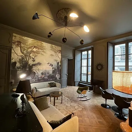 Apartment Luxueux 2 Pieces 65m2 Particulier Xvii Ieme Siecle-centre Historique Clermont-Ferrand
