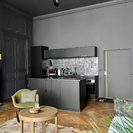 Lejlighed Luxueux 2 Pieces 65m2 Particulier Xvii Ieme Siecle-centre Historique Clermont-Ferrand