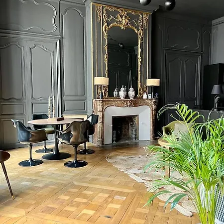 Luxueux 2 Pieces 65m2 Particulier Xvii Ieme Siecle-centre Historique Apartamento